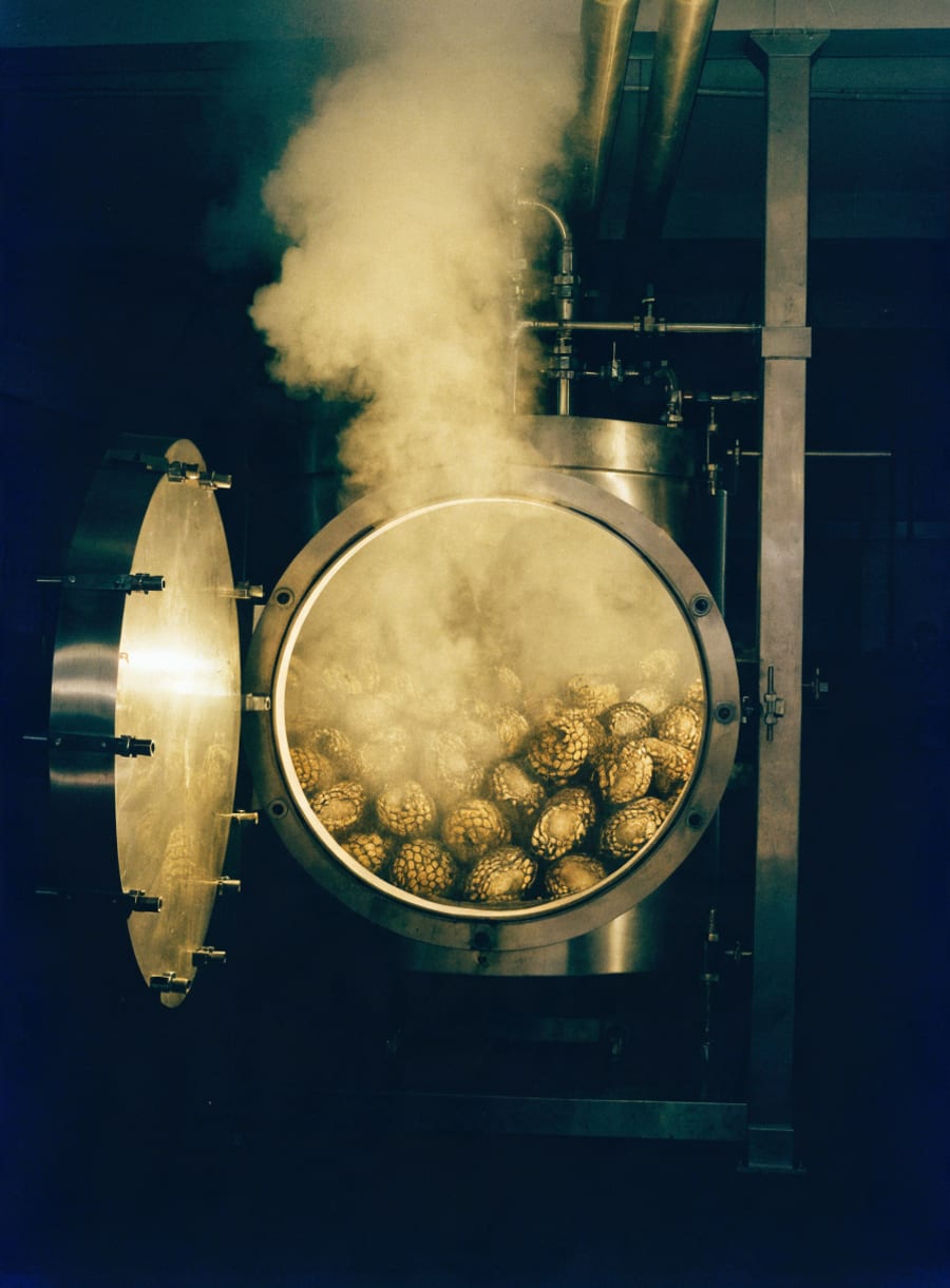 The autoclave in production
